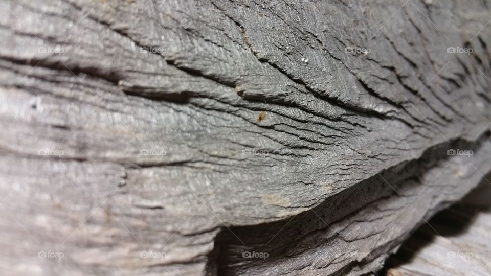 Woodgrain in grey