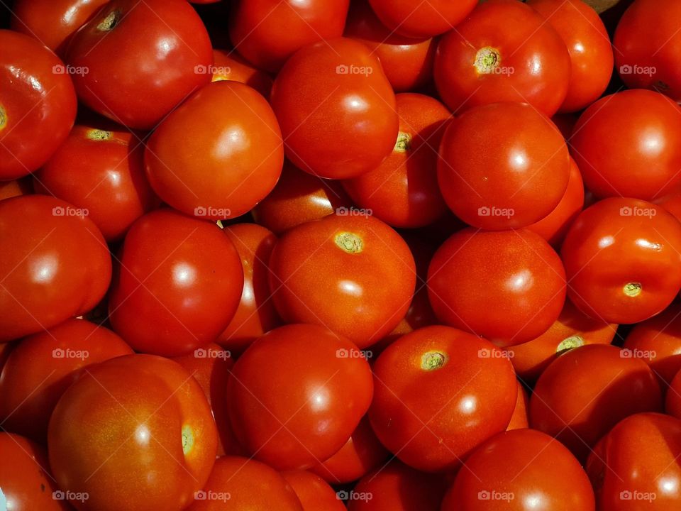 tomatoes rules