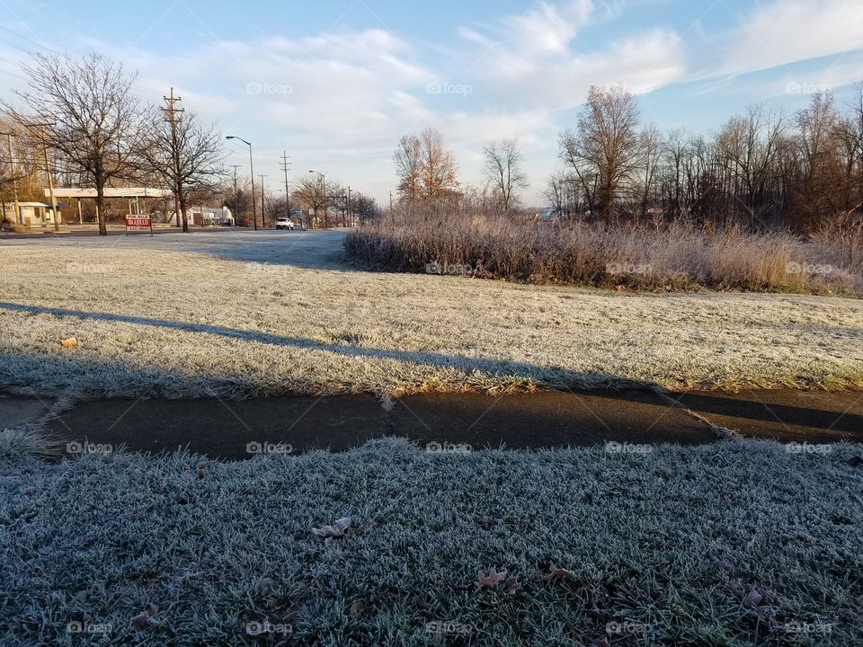 snow in  the morning