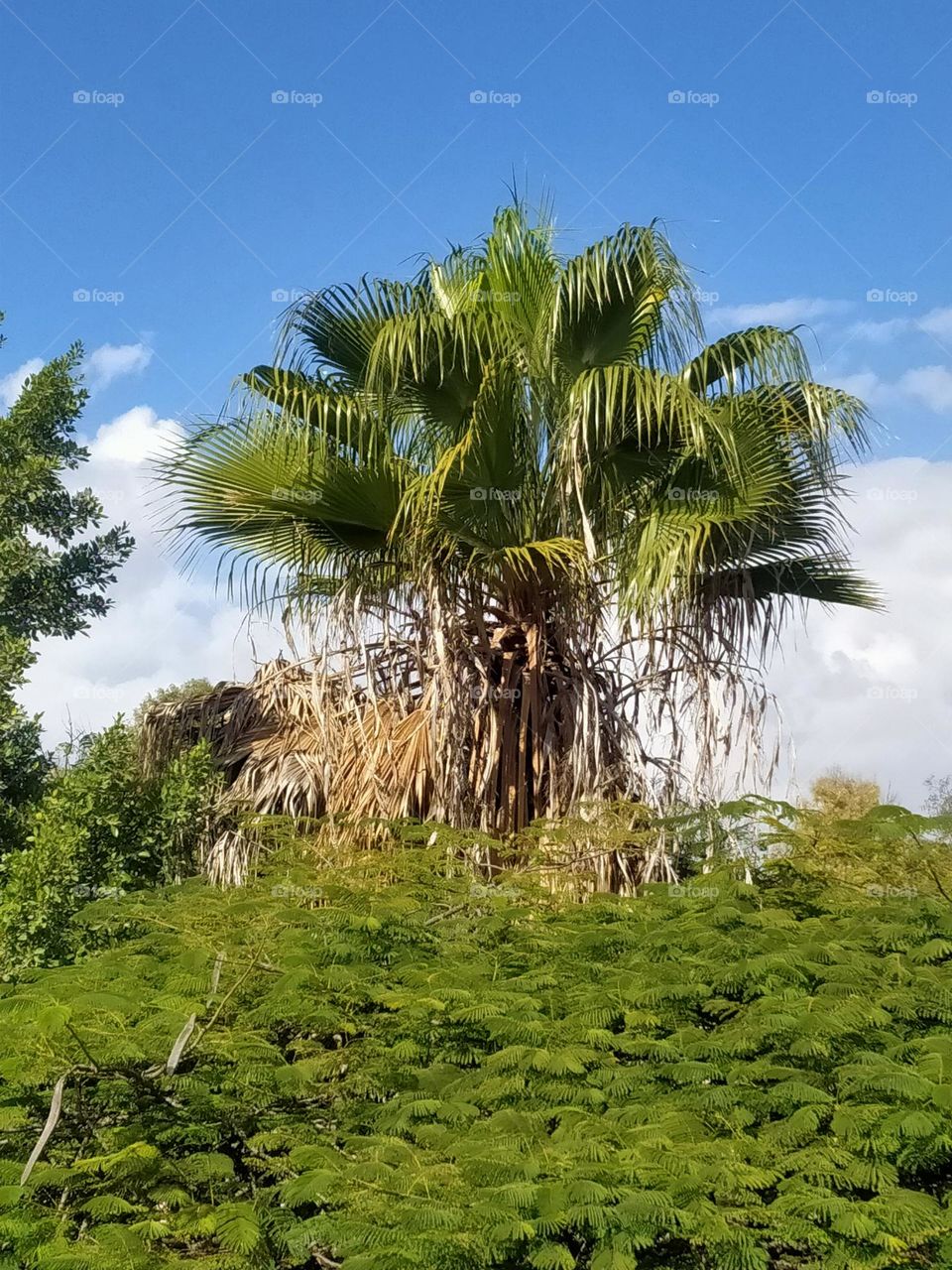 An hour between winter and summer