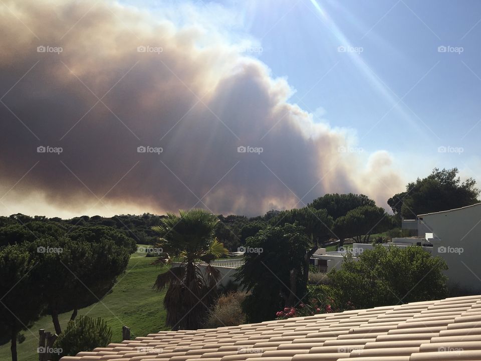 Smokey clouds from a natural fire in woods
