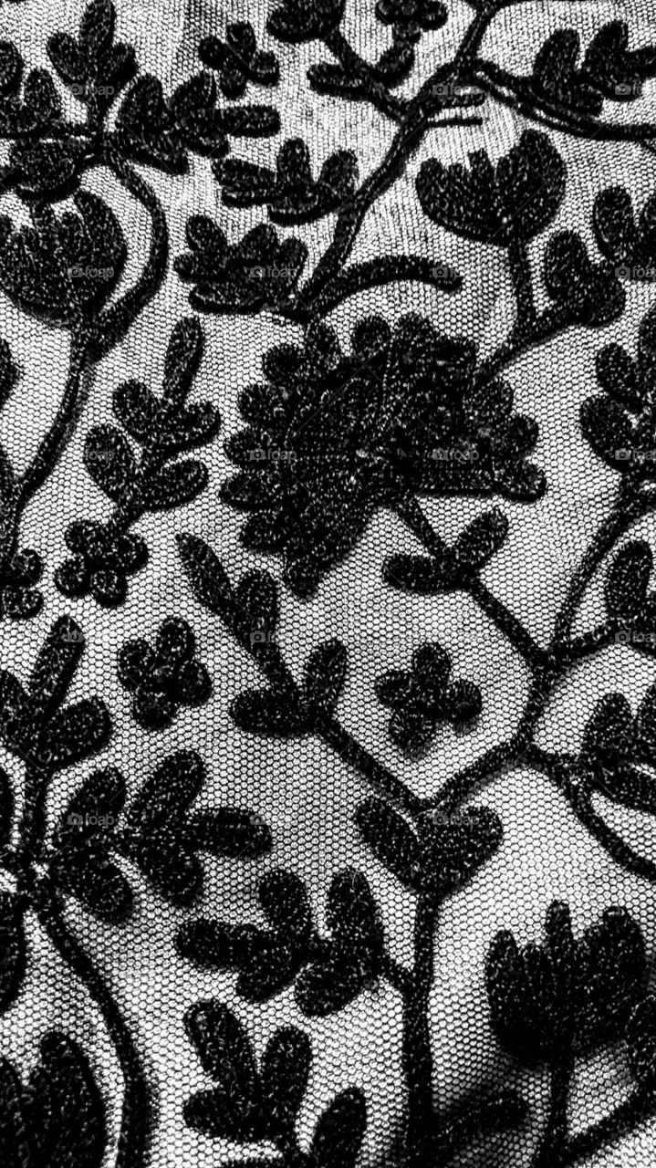 Flower of Black Lace