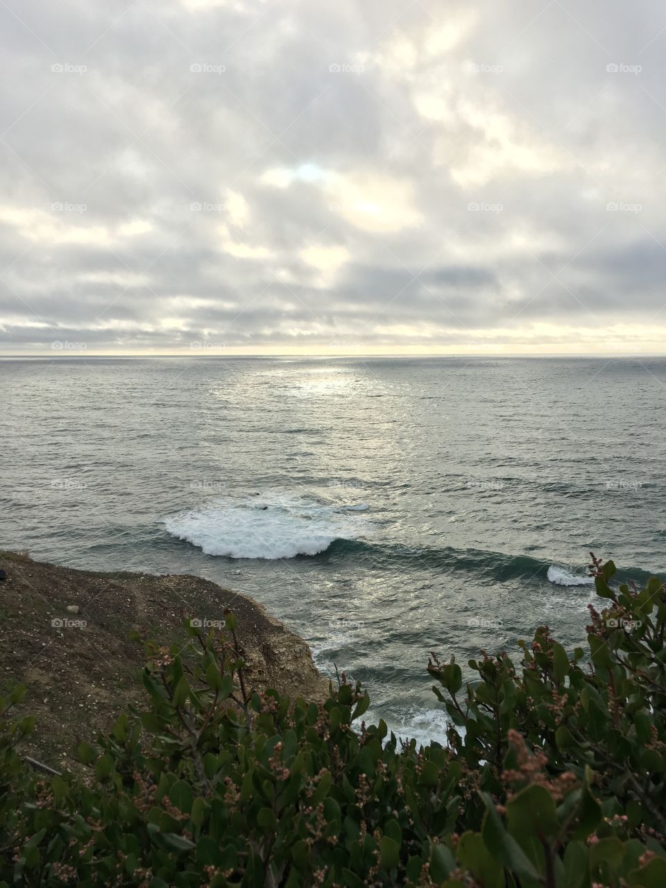 Californian ocean