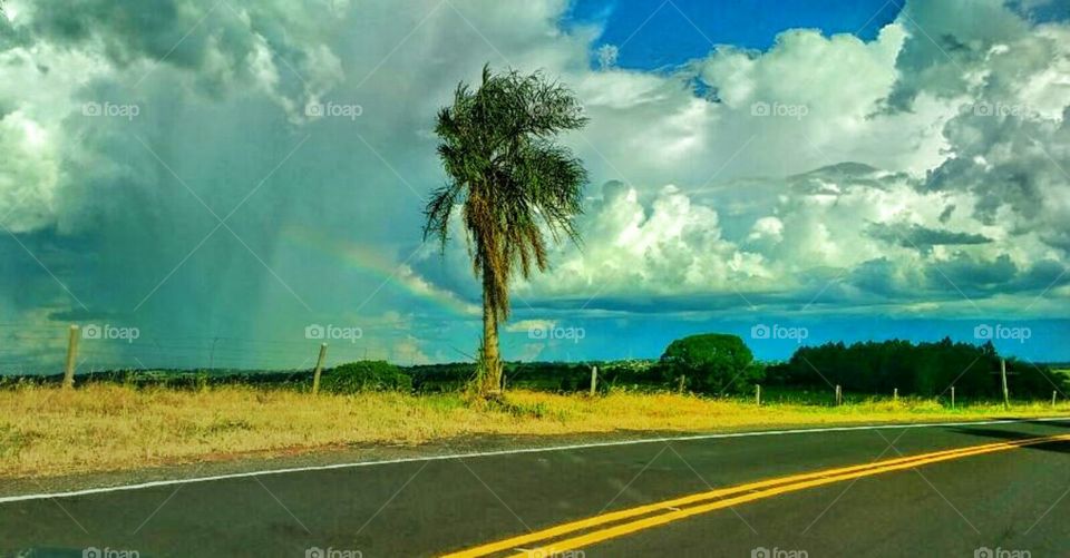 Landscape and road