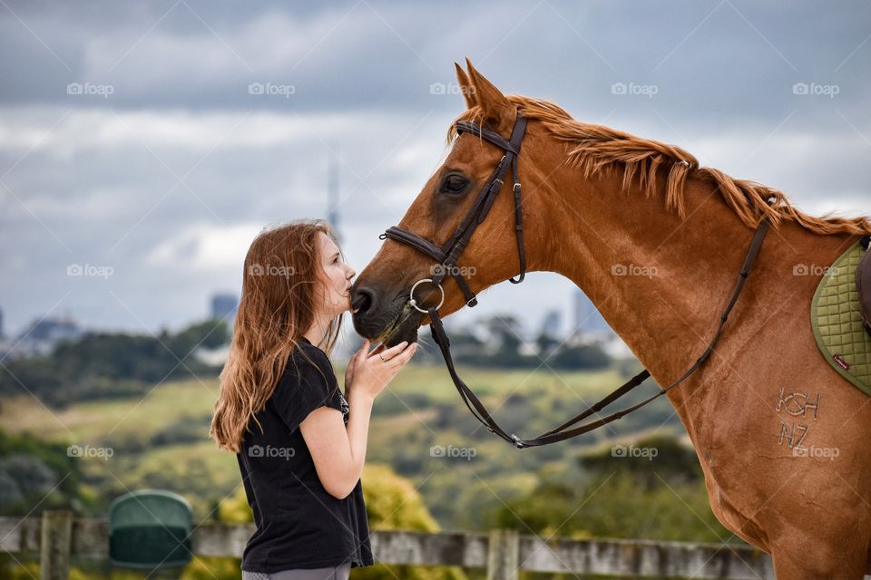 Horse, Cavalry, Mammal, One, Seated