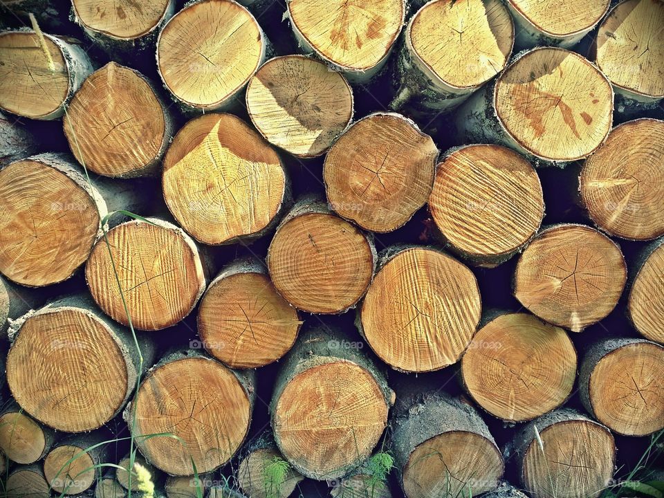 Stack of firewood