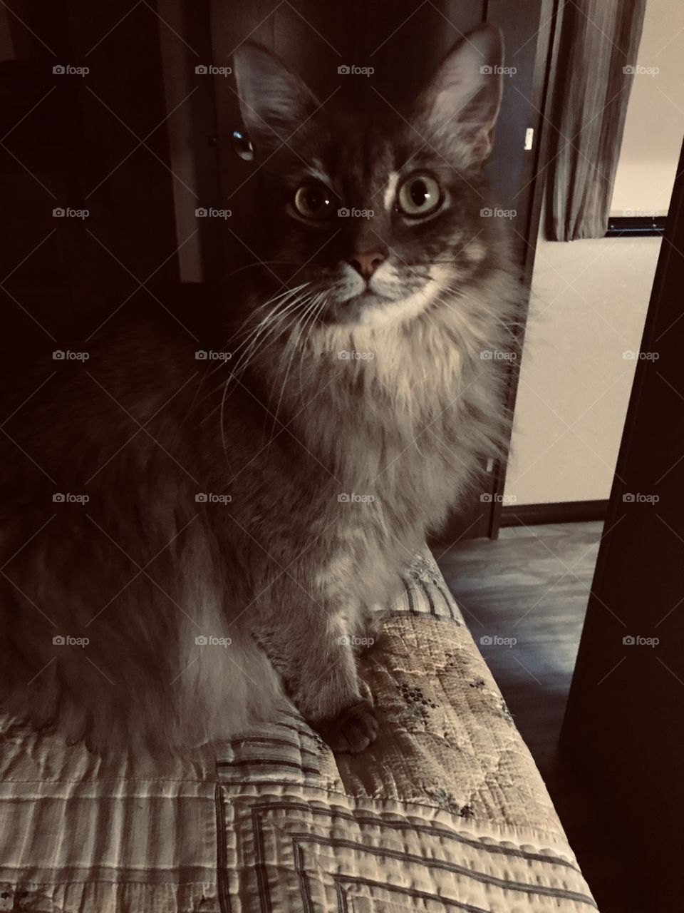 Can’t you see I just woke up and you just have to snapshot me. Shame on you