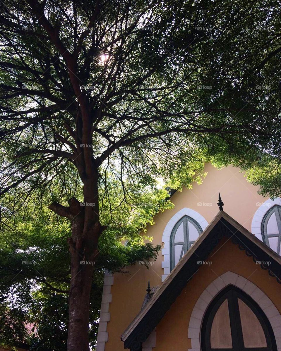 #bigtree #church #shady #peachful #thailand #weekend #travel #thailand #ayuthaya