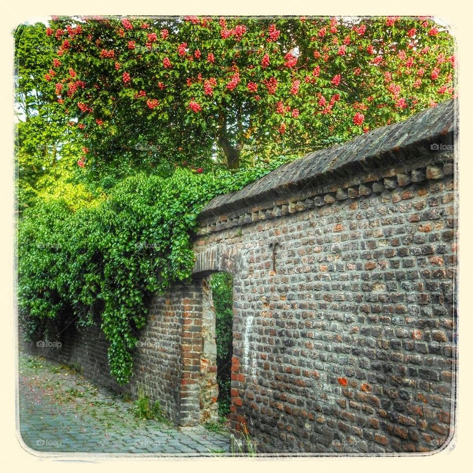 Old town wall in Kempen
