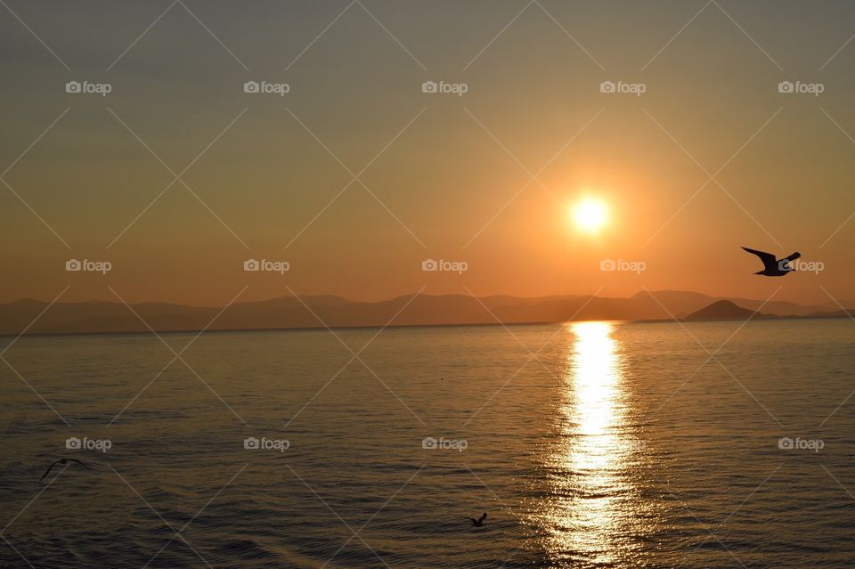 Watching the sunset on the ferry ride back from Aegina island to Athens