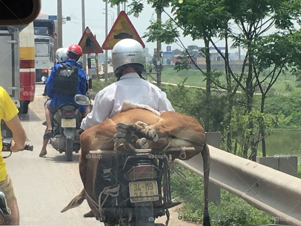 Moped, Hanoi