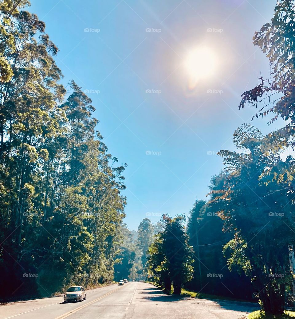 🌄🇺🇸 An extremely beautiful dawn in Jundiaí, interior of Brazil. Cheer the nature! / 🇧🇷 Um amanhecer extremamente bonito em Jundiaí, interior do Brasil. Viva a natureza! 