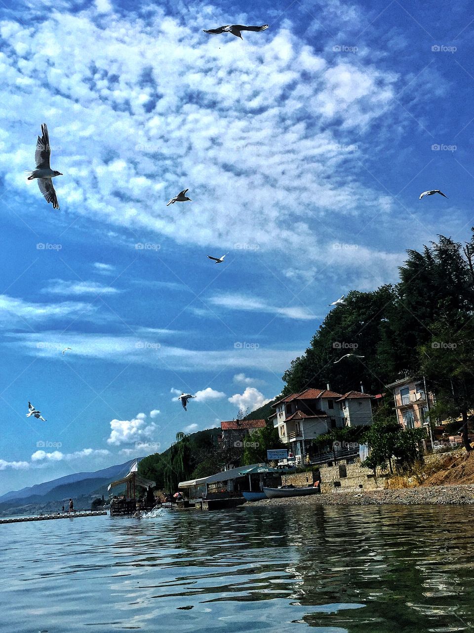 Village on the lakeside 