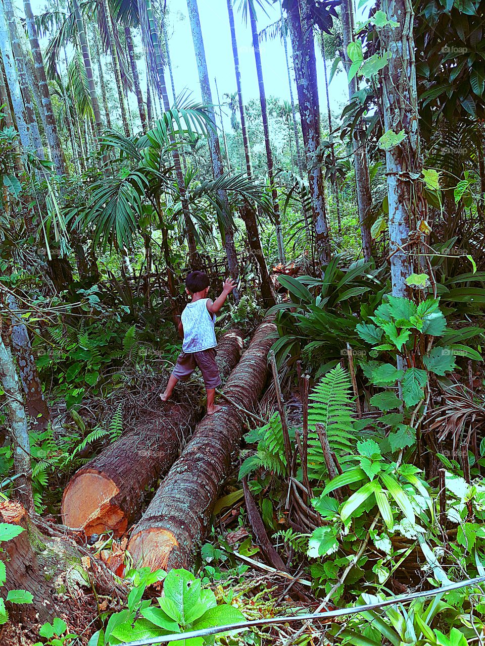 Littile boy playing on jungle