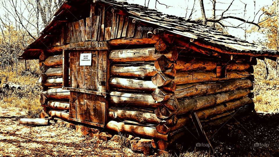 Log Cabin