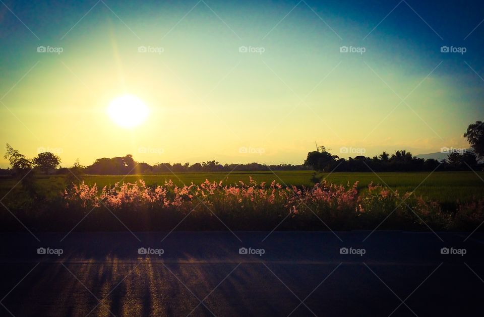 Landscape country side view with sunset 