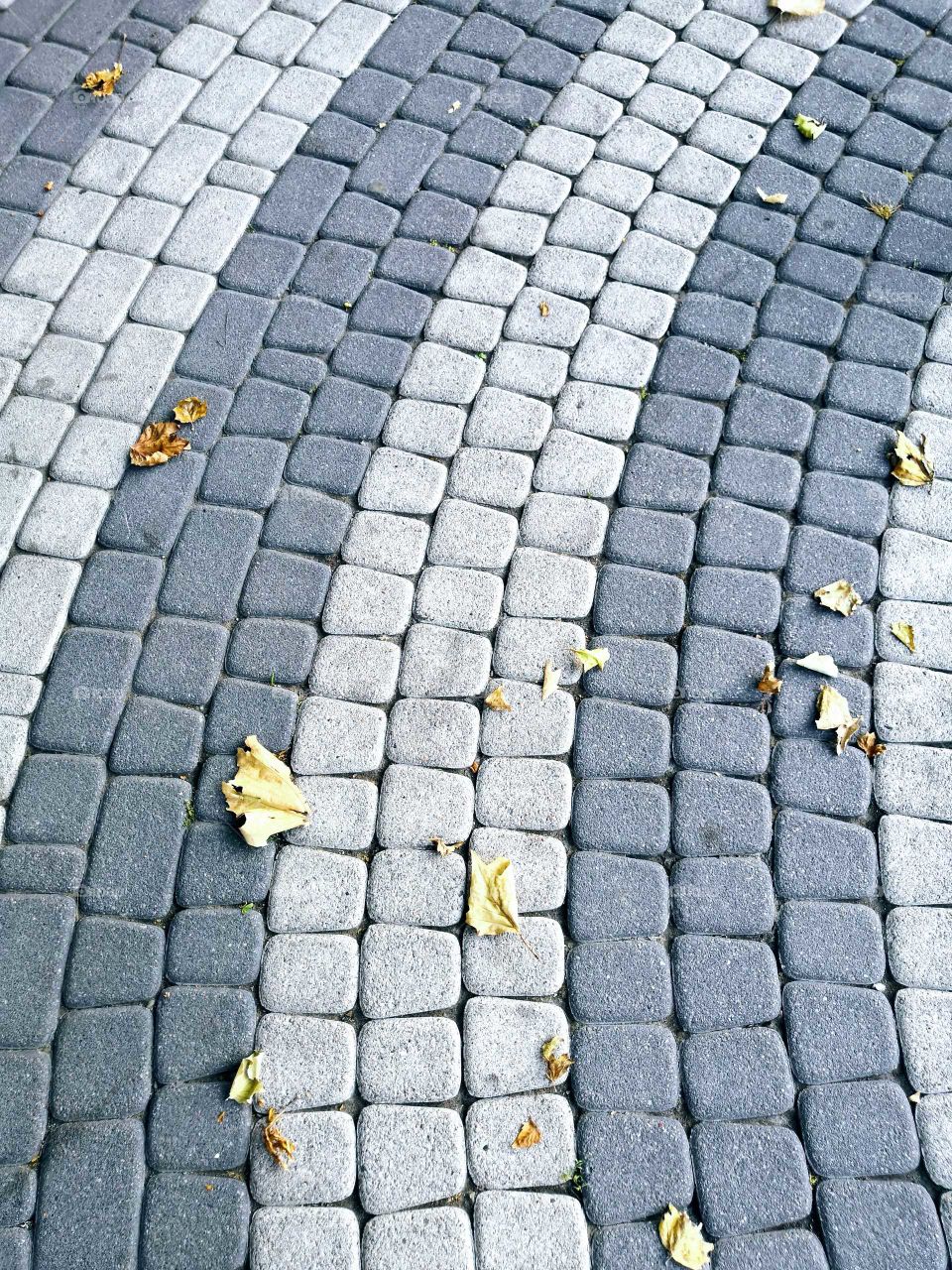 Pavement
