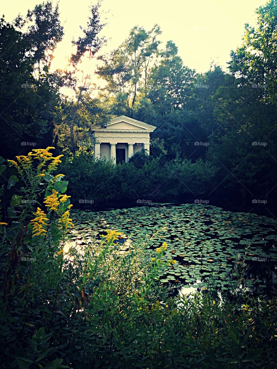 Temple Pond