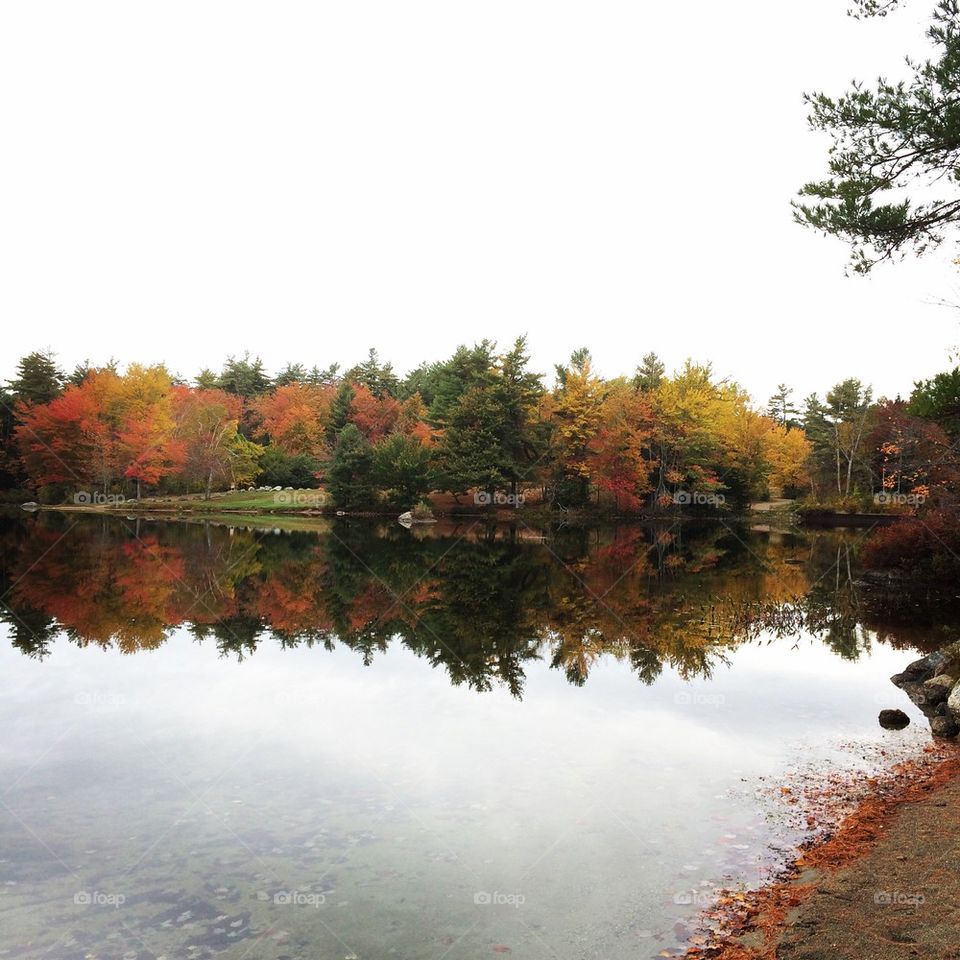 Branch Pond in the Fall