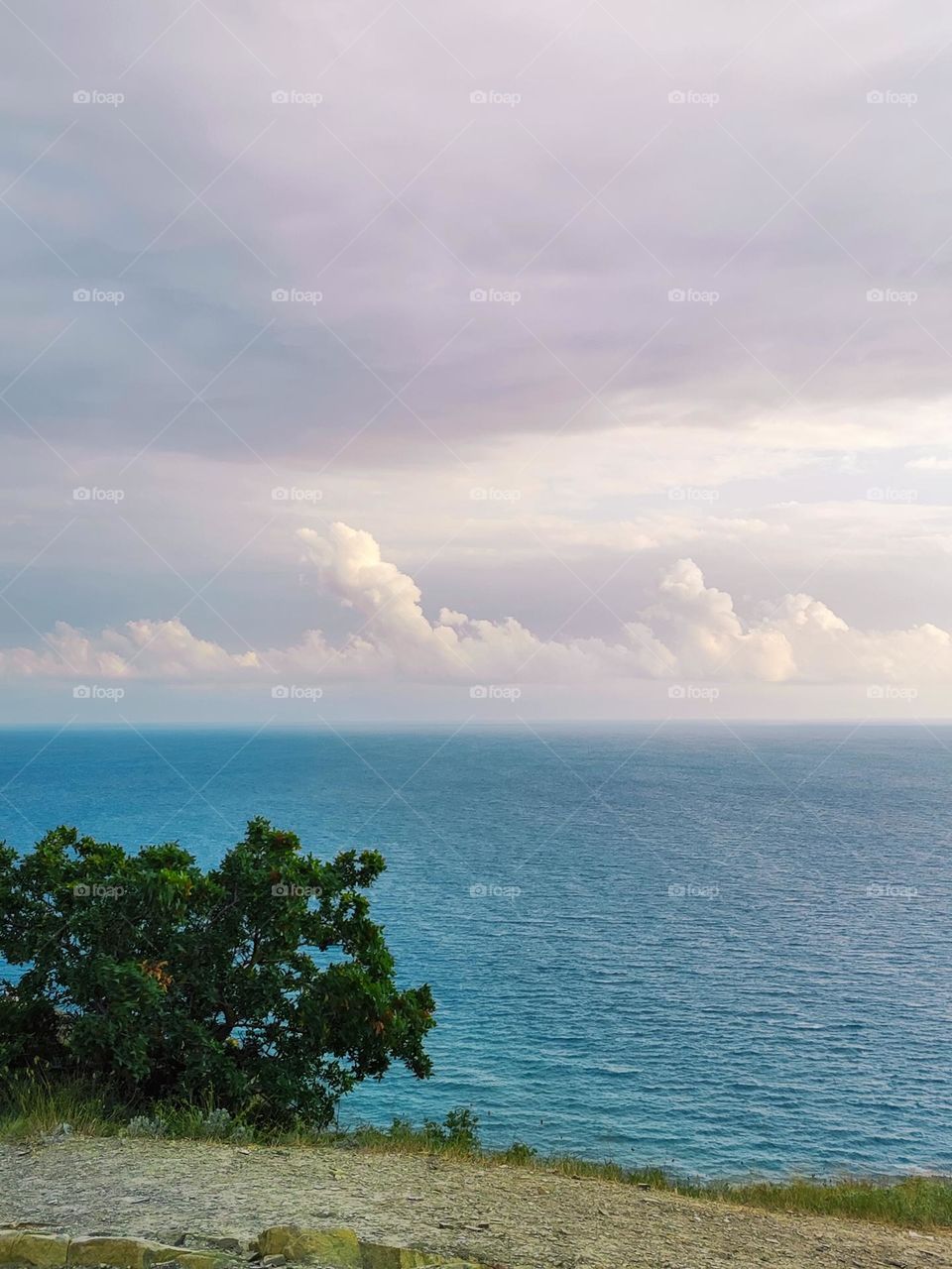 The sea on the background of pink clouds