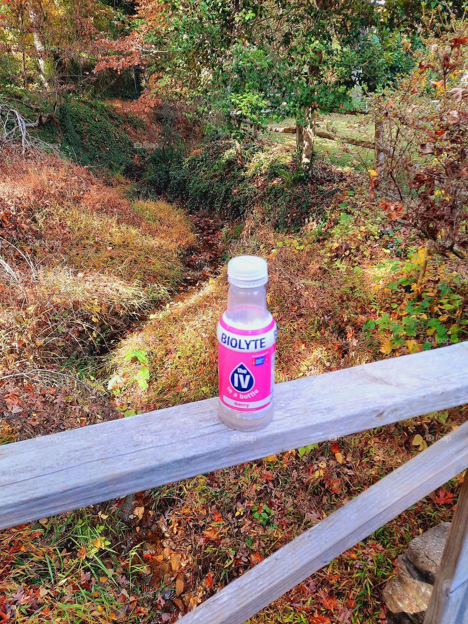 Stopping to rehydrate in the woods