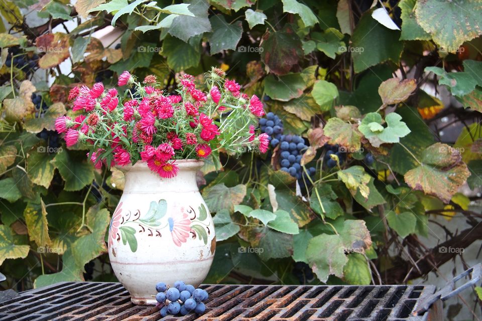 Flowers, grapes and autumn colors