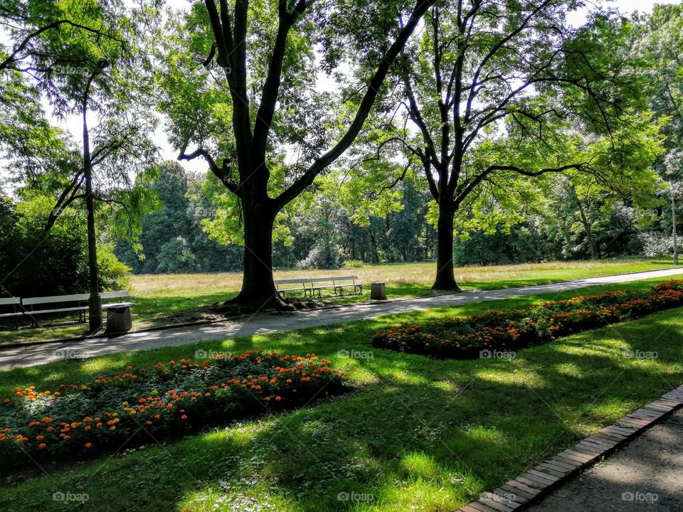 Parks of Warsaw