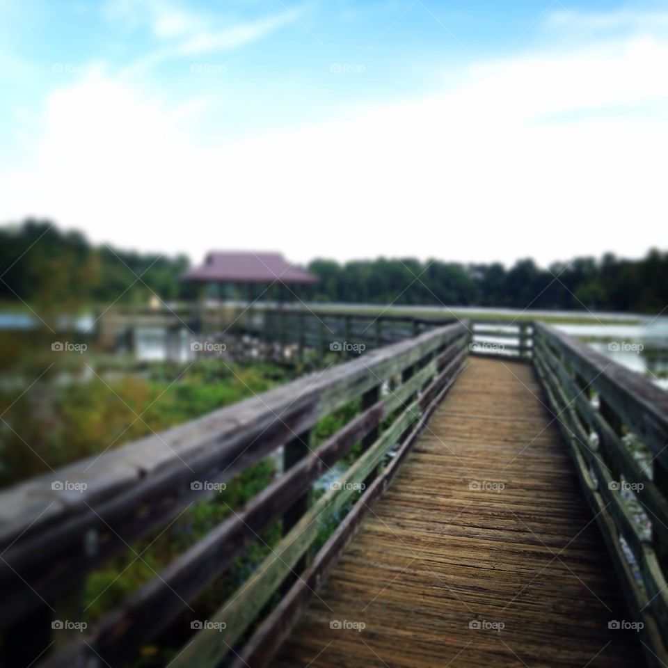 Walk down the dock 