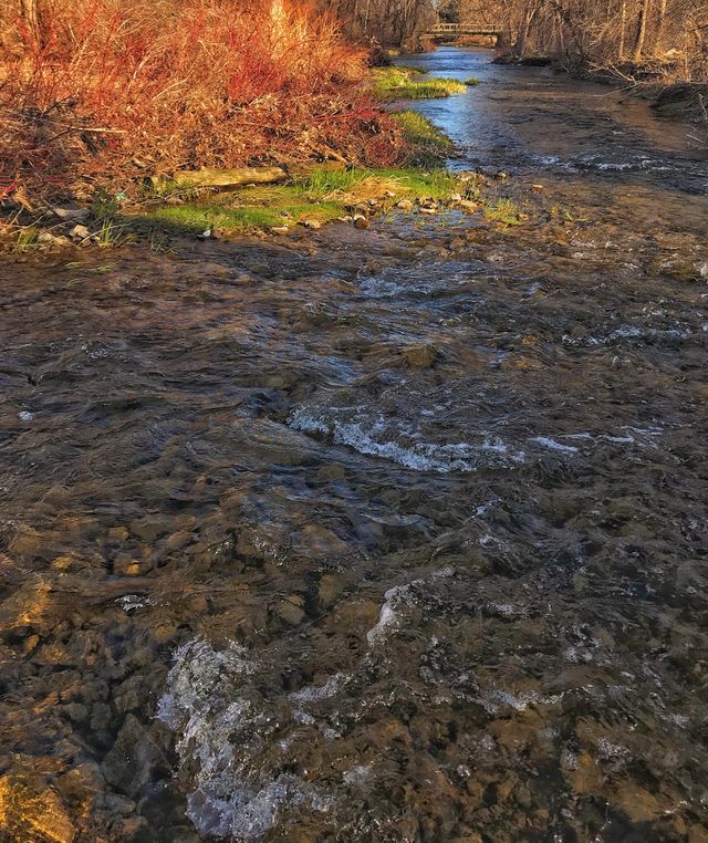 Ellicott creek 