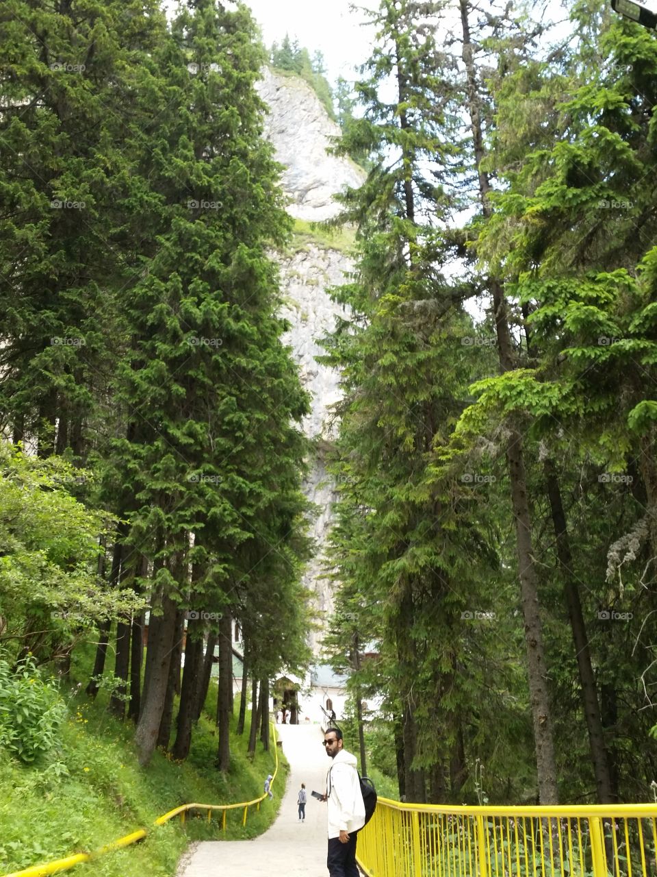 nature travel carpathian mountains hike summer trip view panorama green trees