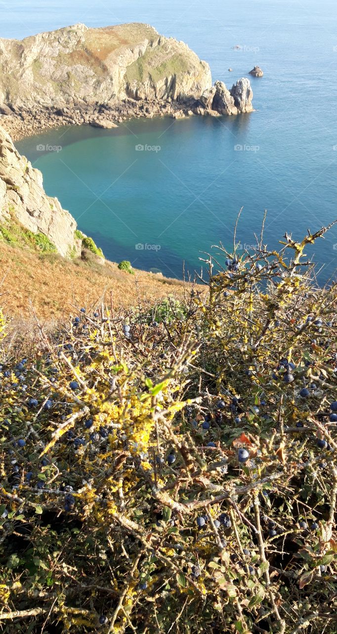 Costal landscape in Cotentin