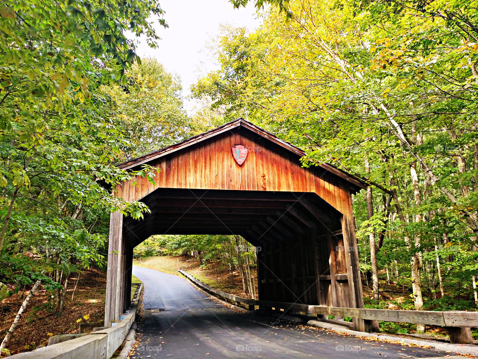 Covered bridge with trees