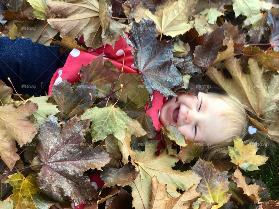 Baby playing in the leafs