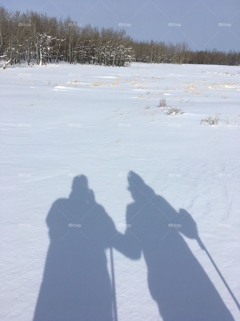Snowshoeing shadows together 