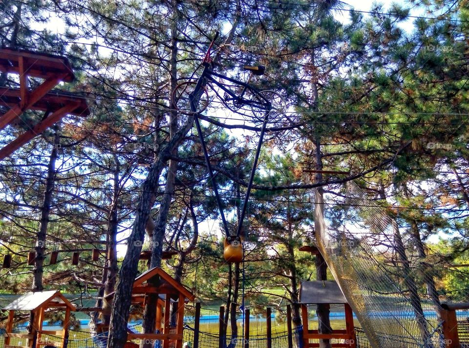 Wood, Tree, Park, No Person, Outdoors