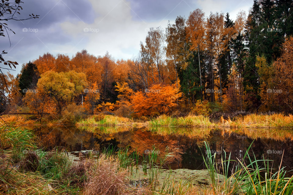 Autumn landscape with pond