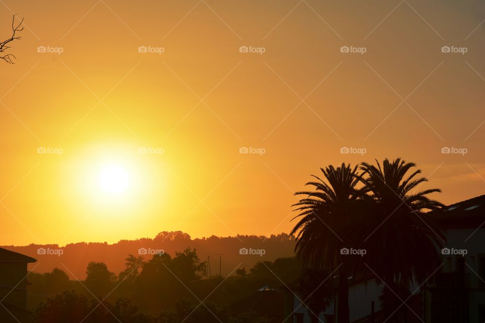two palm trees and the mountains during the sunset