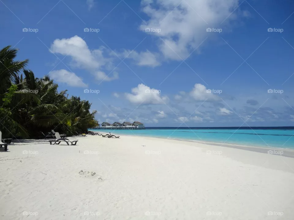 Paradise 
