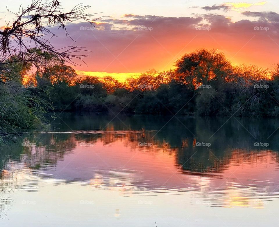 The Art of a Landscape