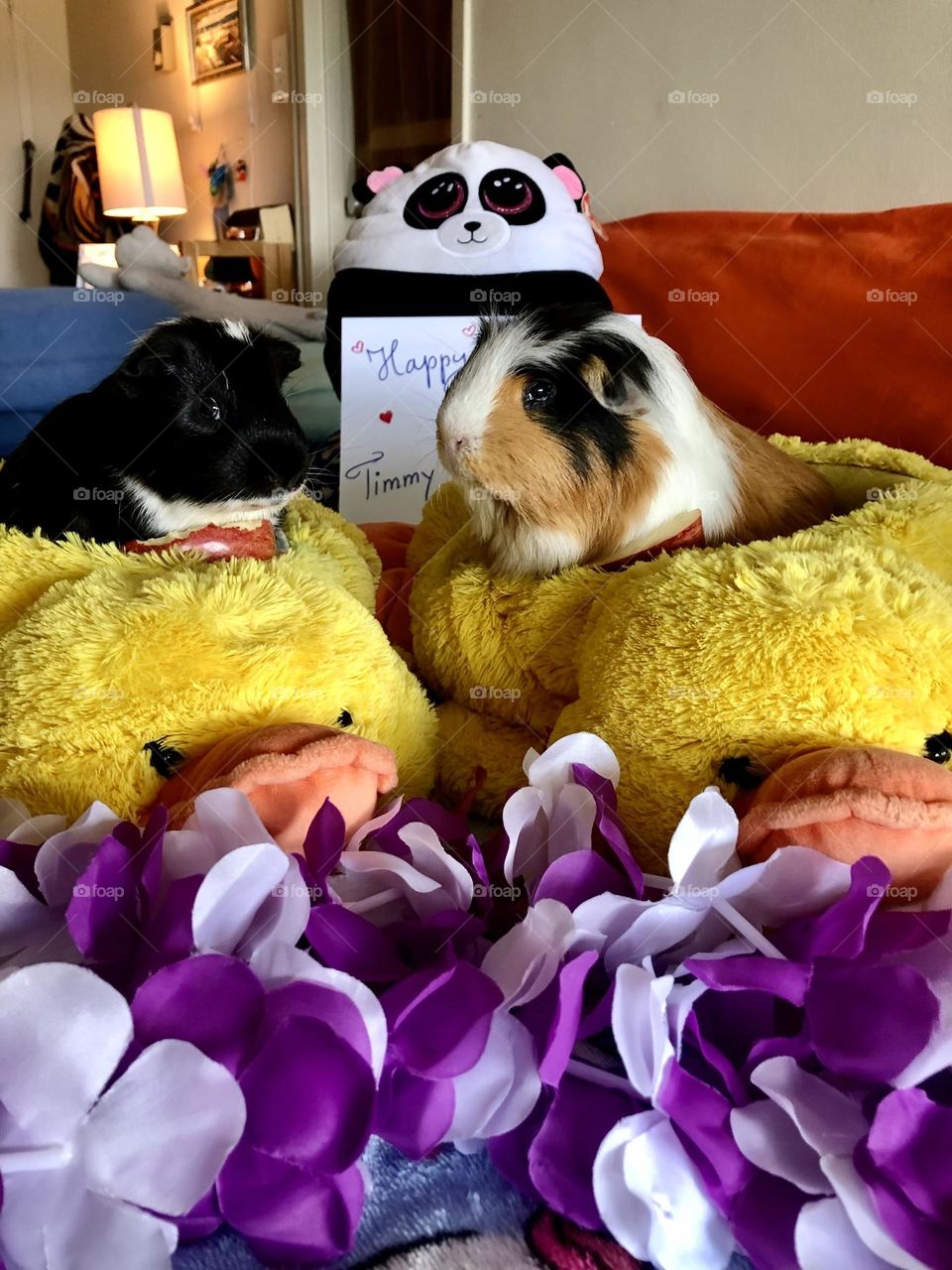 Timmy and Jonathan Birthday celebration 