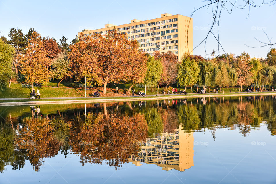 Reflection of building and autumn trees in the park