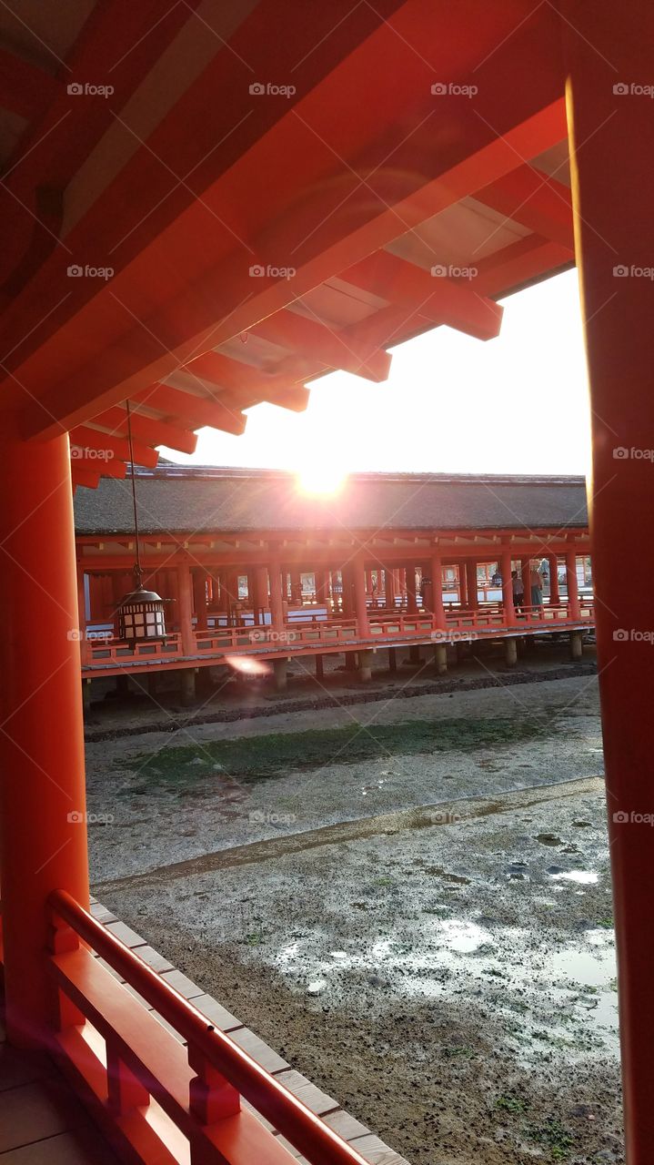 Sunset at Itsukushima Shrine, Miyajima