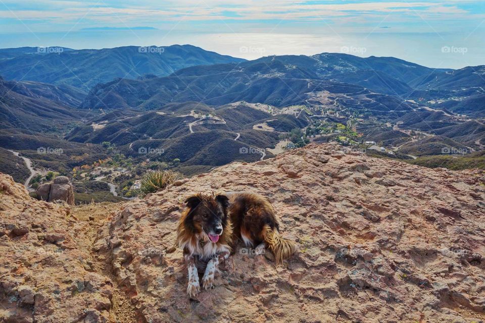 Time for a rest after hiking for 4 hours up hill. Finally made it to the top 👊🏼