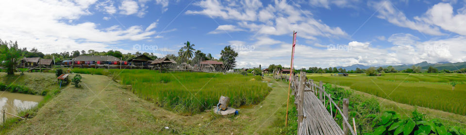 Boardwalk on the rice paddies of the coffee shop is a place where tourist PUA district, Nan province