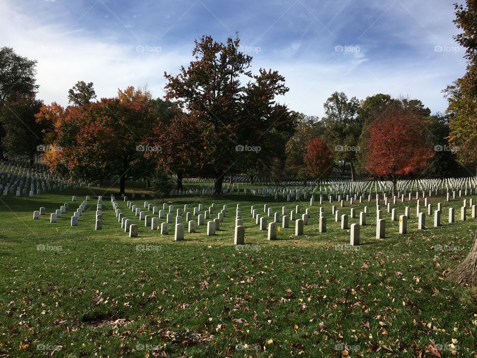 Lines of honor at Arlington National Cemetery 