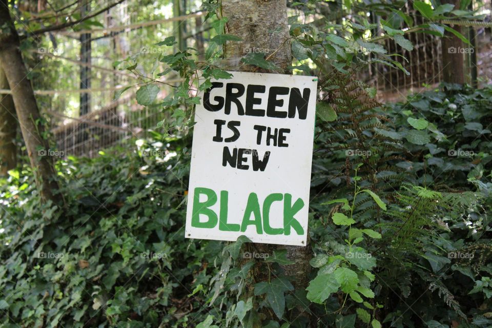 Sign in the middle of trees and bushes saying green is the new black