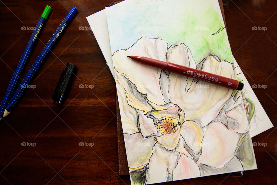 Flat lay Flower head closeup sketch on desk Sketching with Faber-Castell PITT Artist pens and aquarelle pencils using watercolor techniques 