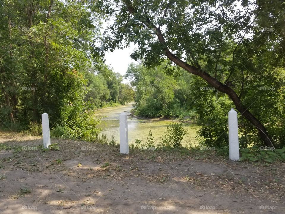 Tree, Road, Landscape, Nature, No Person