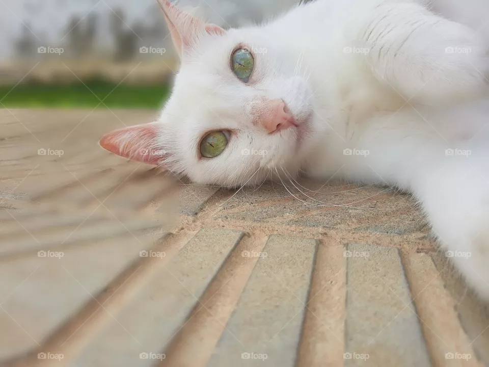 Green eyes