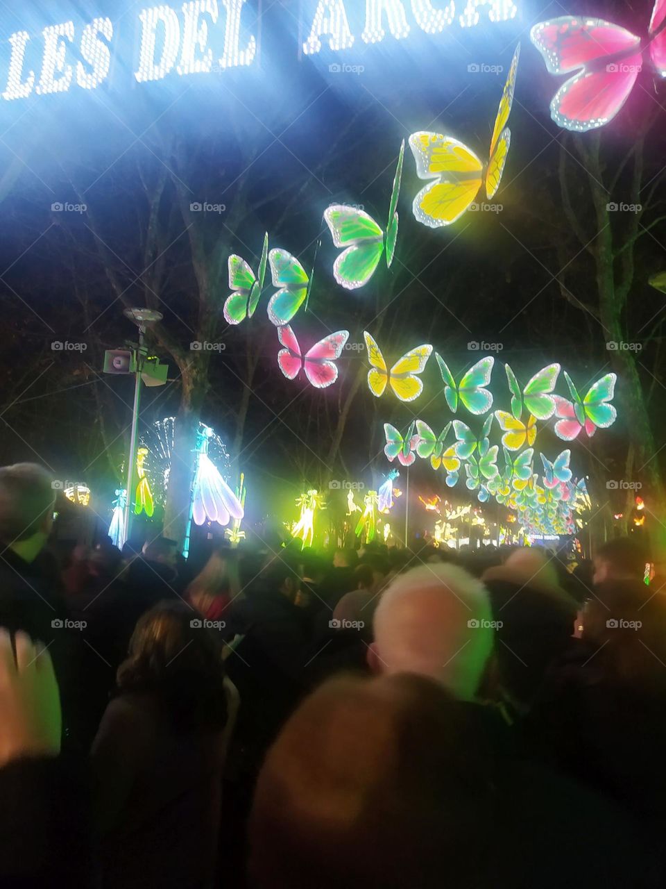 Crowds  in the lights night